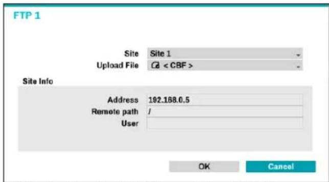 FTP 1 Site Site 1 Upload File < CBF > Site Info Address 192.168.0.5 Remote path / User OK Cancel