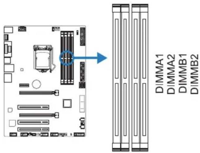BIOSTAR B150GT5 - 系统内存 - 1