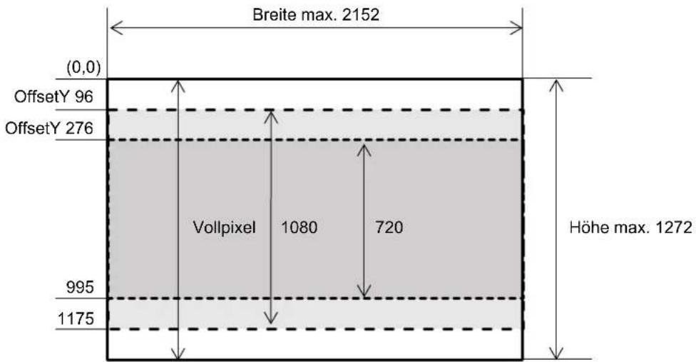 CANON ML-100 EF - Begrenzung durch den Auslesemodus des Bildsensors - 1