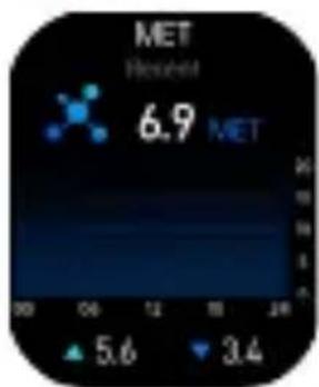 MET Resort 6.9 MET 5.6 3.4