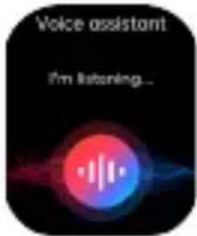 Voice assistant I'm listening...