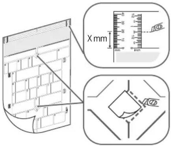 X mm