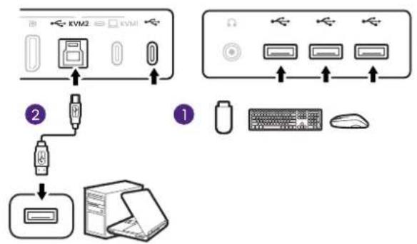 BENQ RD320UA - Schließen Sie die USB-Geräte an. - 2