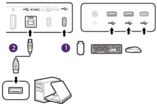 BENQ RD320UA - Schließen Sie die USB-Geräte an. - 3