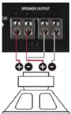 SPEAKER OUTPUT + - + -