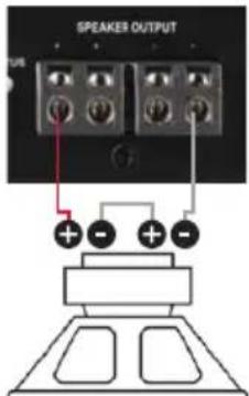 SPEAKER OUTPUT + - + -