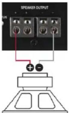SPEAKER OUTPUT + -