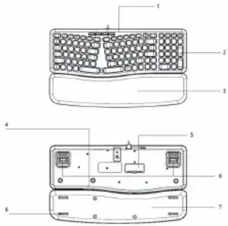 Technical diagram of a computer keyboard with numbered parts for identification