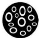 GLP impression S500 Profile - Gobo Wheel 1 (rotating gobos) - 2