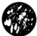 GLP impression S500 Profile - Gobo Wheel 1 (rotating gobos) - 8