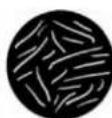 GLP impression S500 Profile - Gobo Wheel 2 (static) - 10