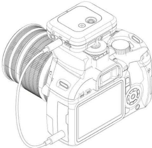 SHURE MoveMic MV-R - Connecting to the Receiver - 1