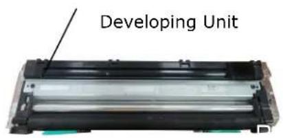 Developing Unit