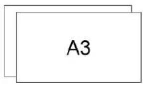 A3