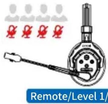 Remote/Level 1/