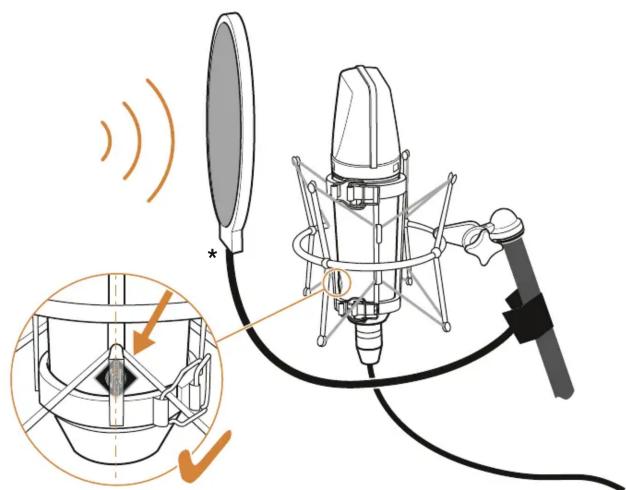 Diagram illustrating audio recording setup with microphone, speaker, and earpiece components labeled in English