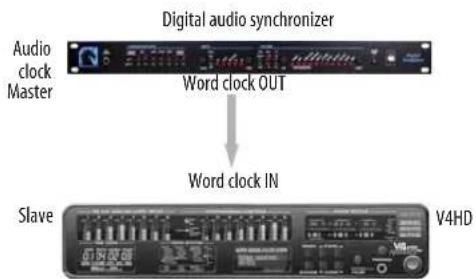 MOTU V4HD - AUDIO WORD CLOCK - 2