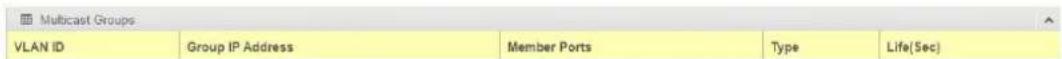 Multicast Groups VLAN ID Group IP Address Member Ports Type Life(Sec)