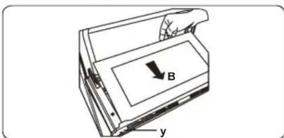 B y