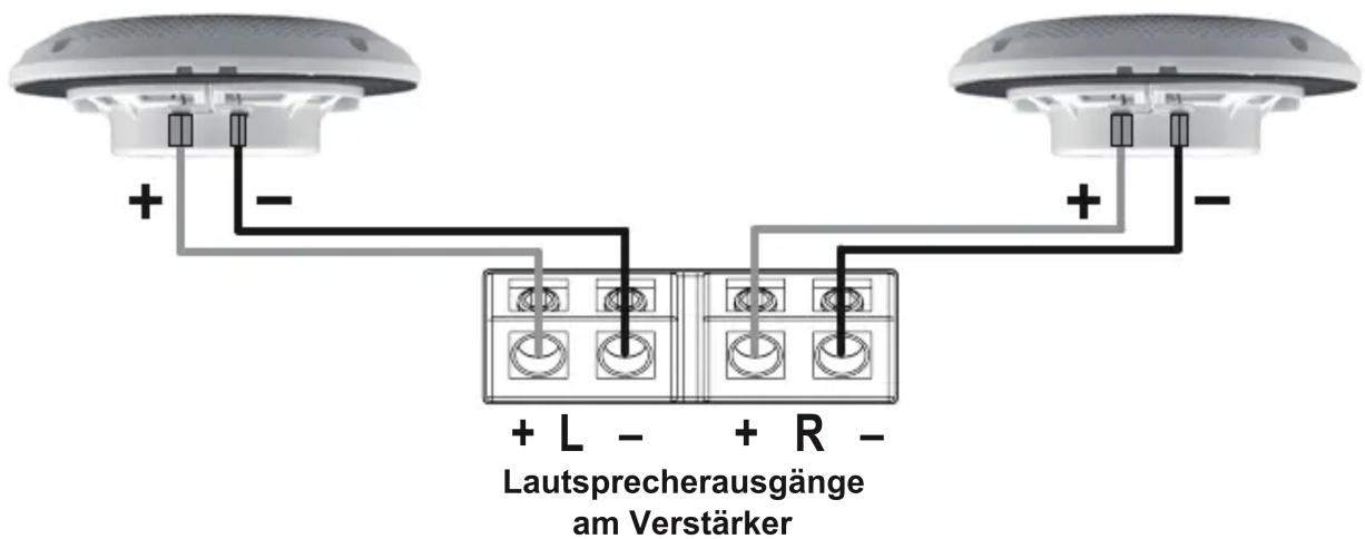 + L - + R - Lautsprecherausgänge am Verstärker
