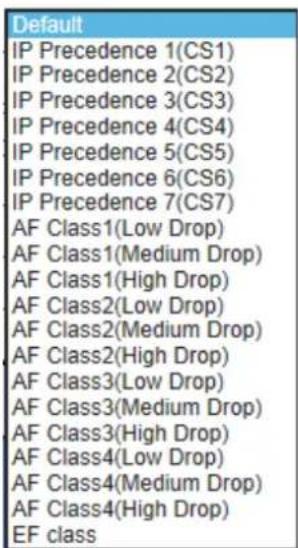 Default IP Precedence 1(CS1) IP Precedence 2(CS2) IP Precedence 3(CS3) IP Precedence 4(CS4) IP Precedence 5(CS5) IP Precedence 6(CS6) IP Precedence 7(CS7) AF Class1(Low Drop) AF Class1(Medium Drop) AF Class1(High Drop) AF Class2(Low Drop) AF Class2(Medium Drop) AF Class2(High Drop) AF Class3(Low Drop) AF Class3(Medium Drop) AF Class3(High Drop) AF Class4(Low Drop) AF Class4(Medium Drop) AF Class4(High Drop) EF class