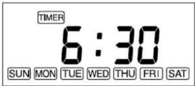 TIMER 6:30 SUN MON TUE WED THU FRI SAT