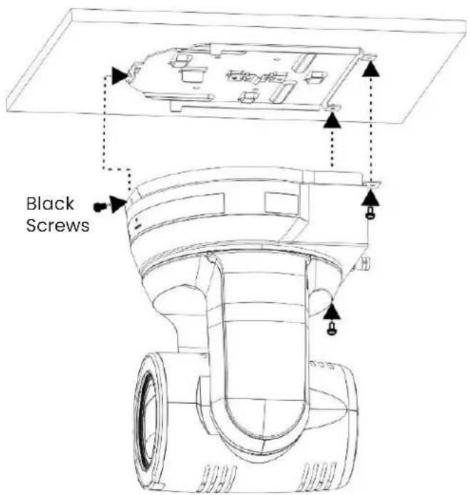 Black Screws