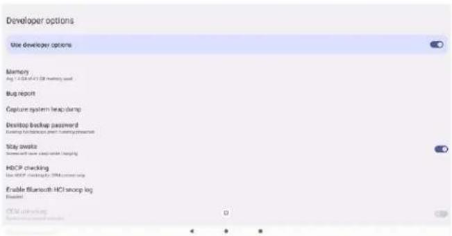 PHILIPS 32BDL3751T - Developer options (開發人員選項) - 1