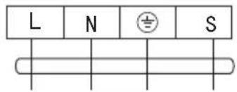 L N S