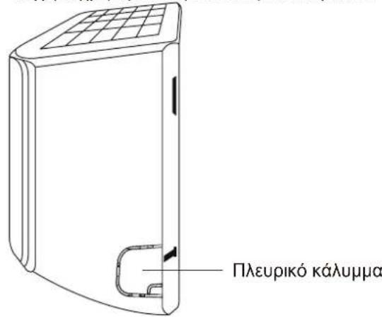 Плευρικό κάλυμμα