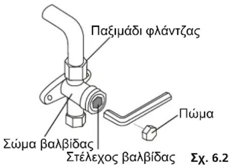 Παξιμάδι φλάντζας Σώμα βαλβίδας Στέλεχος βαλβίδας Πώμα Σχ. 6.2