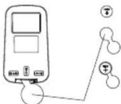 Diagram of a blood glucose meter with labeled terminals and connection points