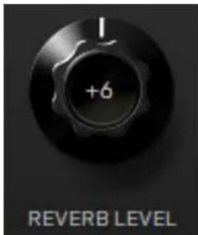 +6 REVERB LEVEL