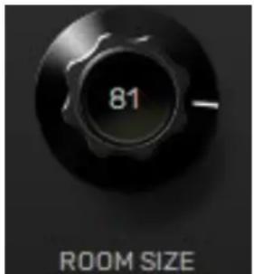 81 ROOM SIZE