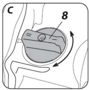 C 8