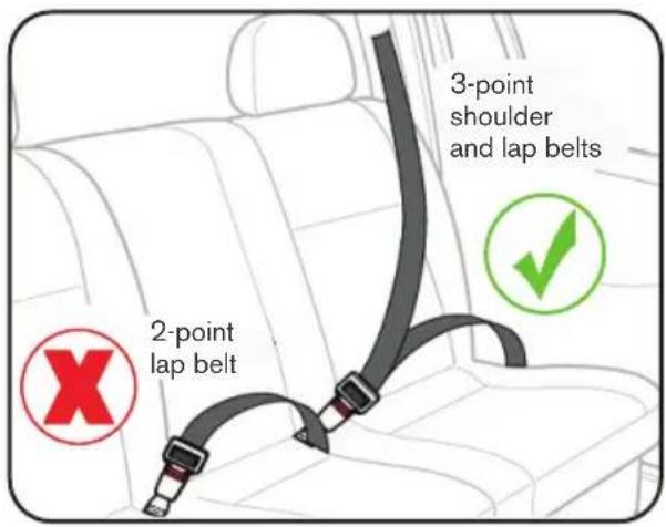 2-point lap belt 3-point shoulder and lap belts