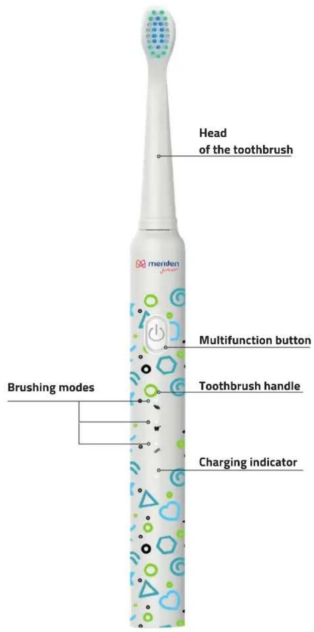 Head of the toothbrush Multifunction button Brushing modes Toothbrush handle Charging indicator