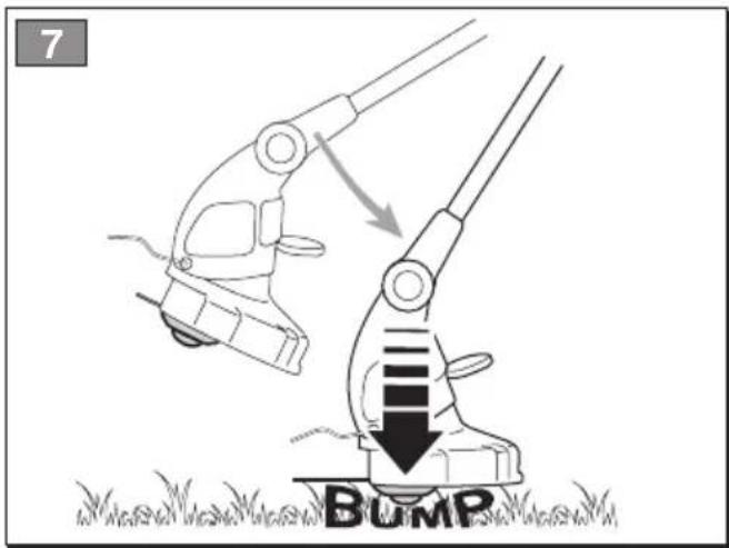 7 BUMP