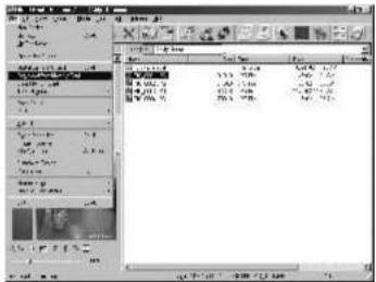 Scanned screenshot of a software interface showing file selection and export options in Chinese