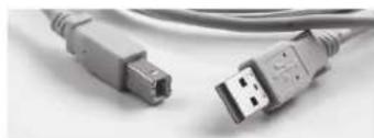 Close-up of two USB connectors with metallic leads, no visible text or symbols