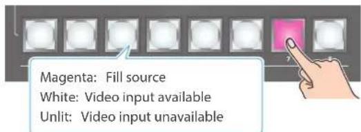Magenta: Fill source White: Video input available Unlit: Video input unavailable