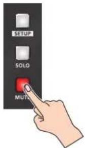 SETUP SOLO MUTU