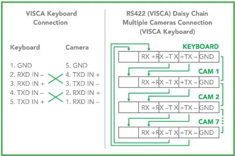 BirdDog P4K - Non-Sony Keyboard RS422 Connection - 1