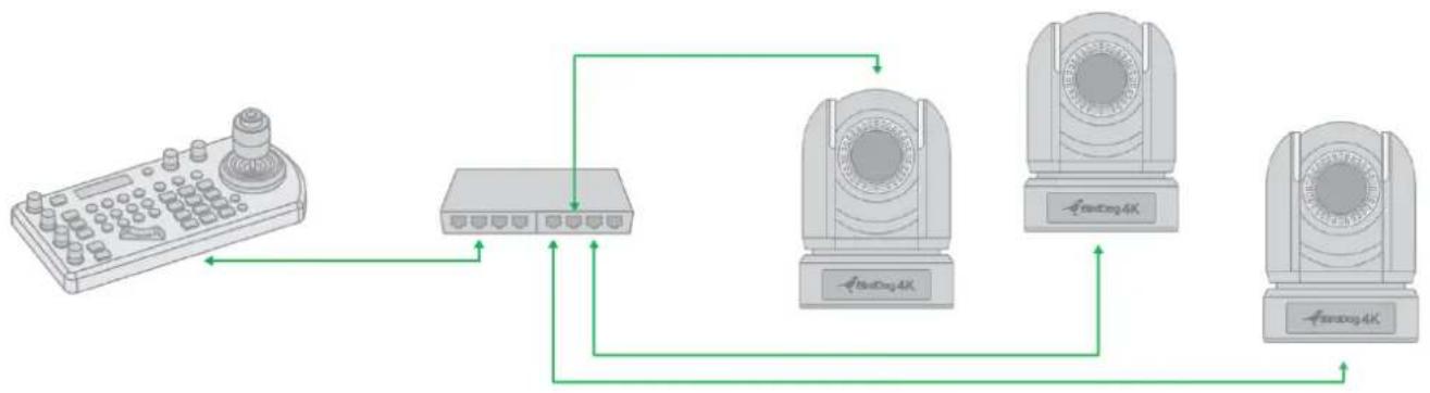 BirdDog P4K - IP Port to Network Switch - 1