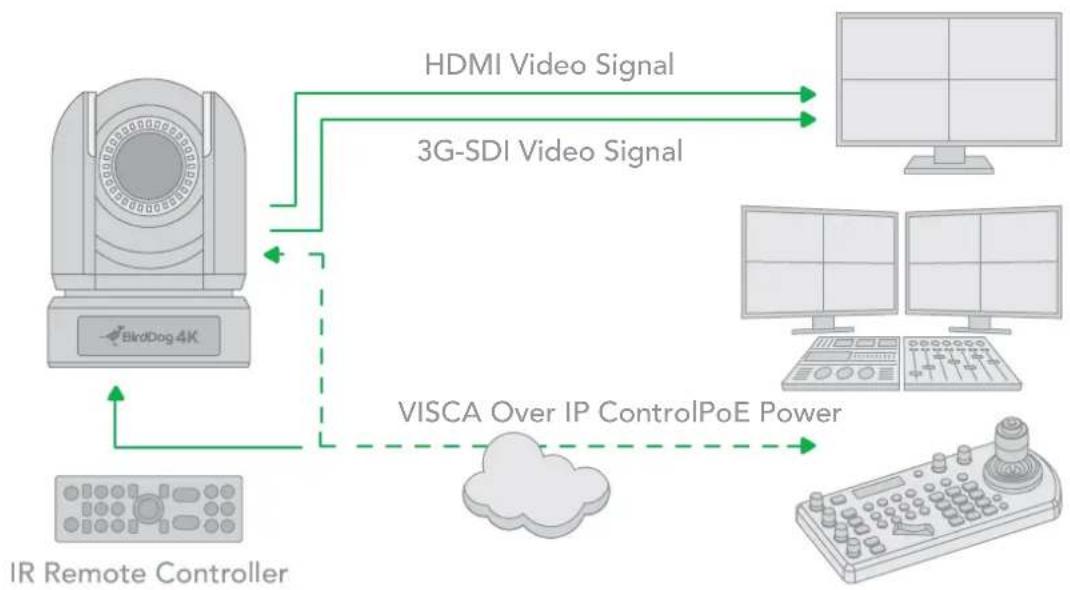 BirdDog P4K - VISCA over IP Control - 1