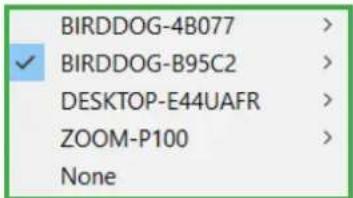 BIRDDOG-4B077 BIRDDOG-B95C2 DESKTOP-E44UAFR ZOOM-P100 None