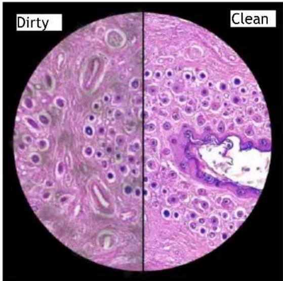 Dirty Clean