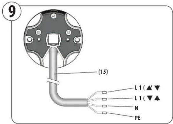 RADEMACHER RolloTube Basis RTBM 40/16Z - Collegamento elettrico (figura Ⓟ) - 1