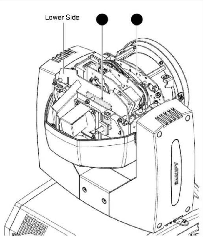 Lower Side SHAVY
