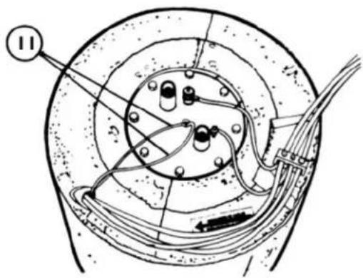 Diagram of a biological or mechanical device with labeled parts and directional arrows indicating flow or movement.